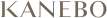 Kanebo text
