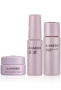Kanebo Product